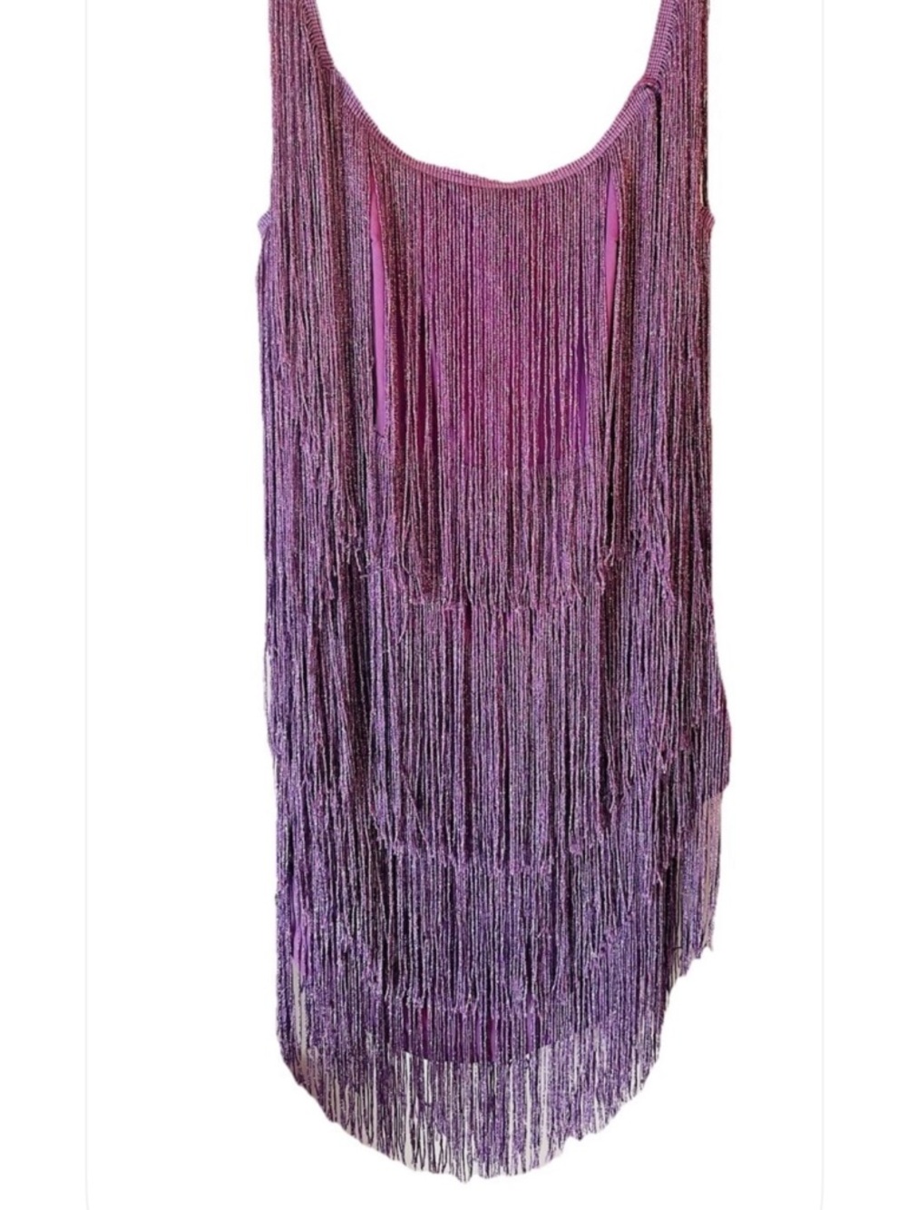 Purple Fringe dance or flapper  Dress. Size small